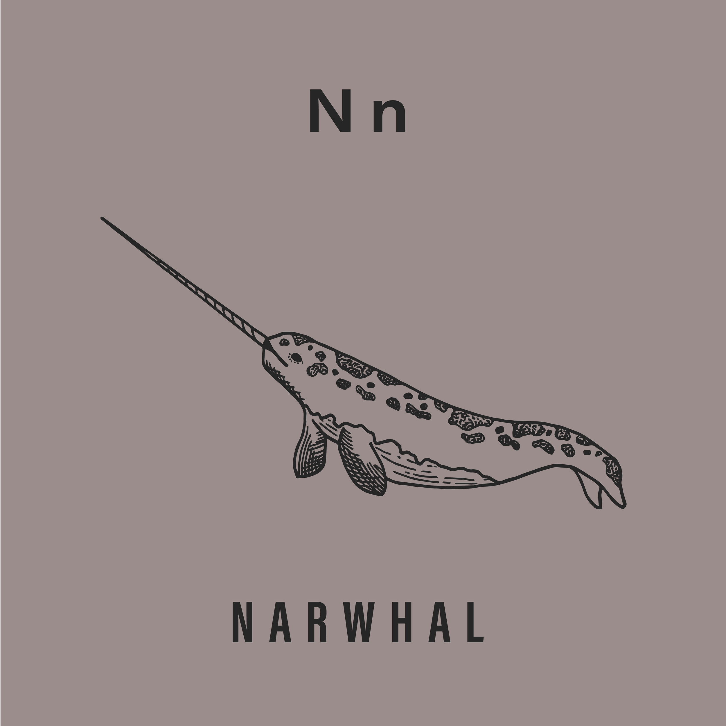 Jack's Animals 2 Color-14.png