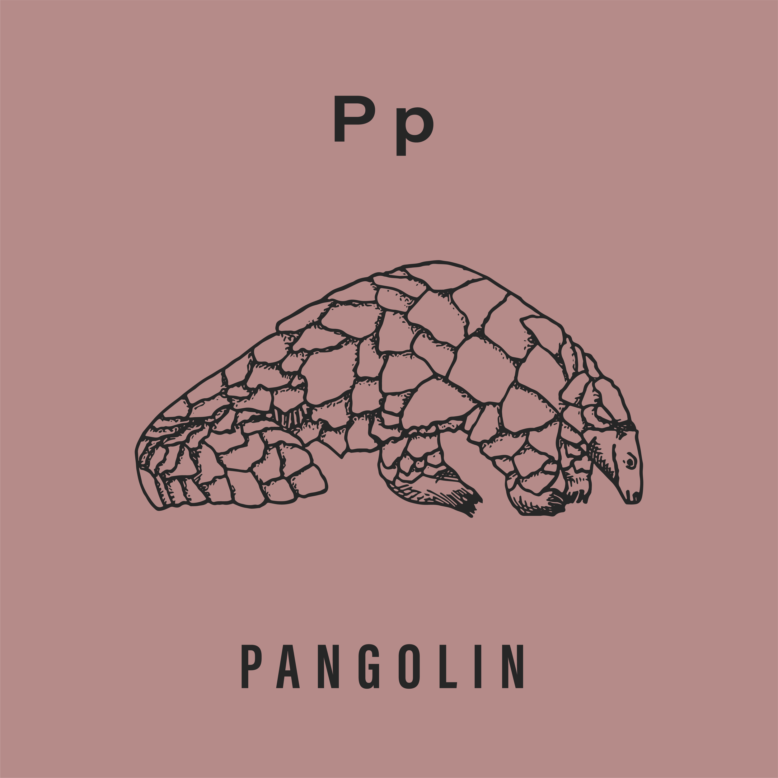 Jack's Animals 2 Color-16.png