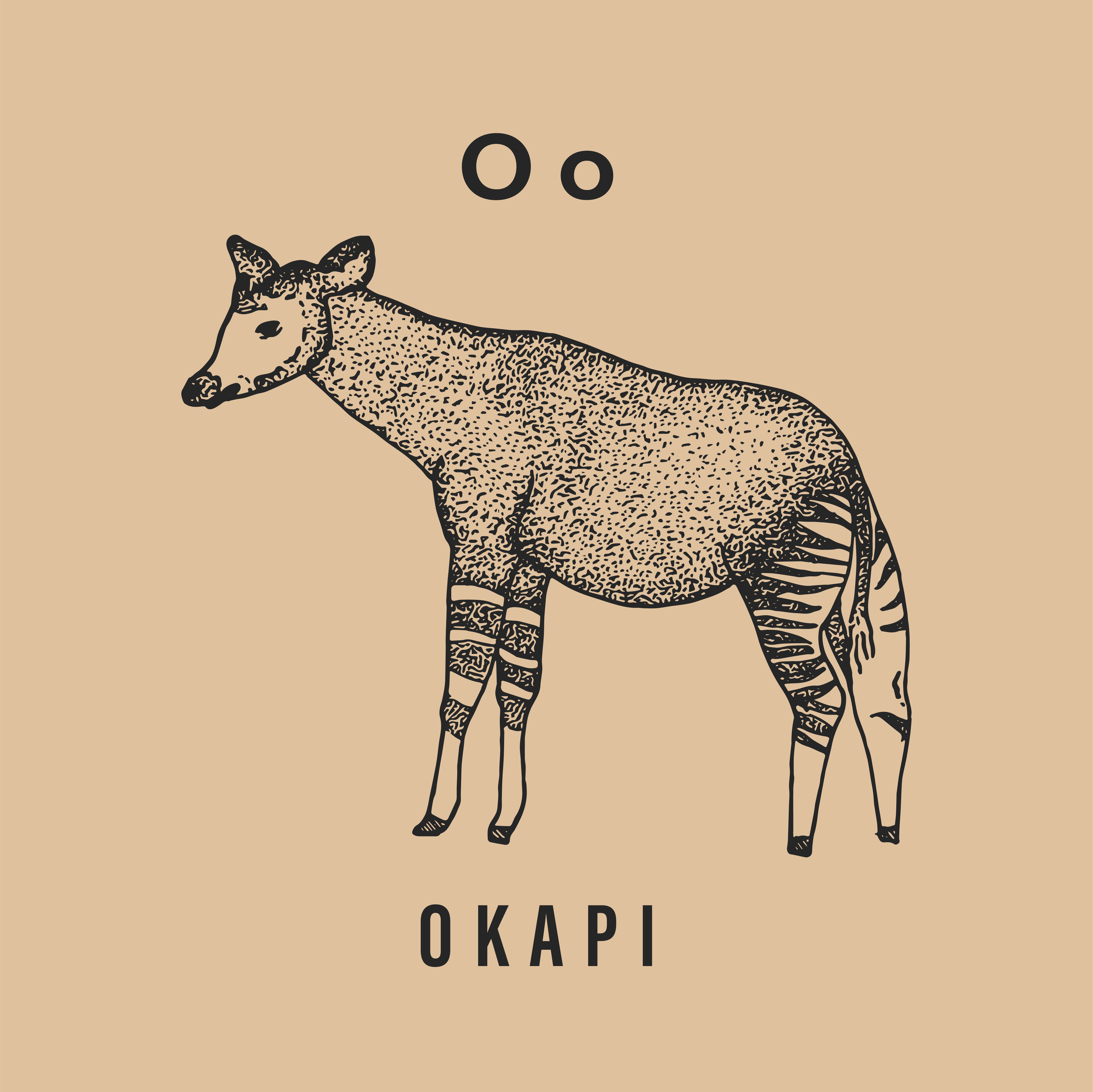 Jack's Animals 2 Color-15.png