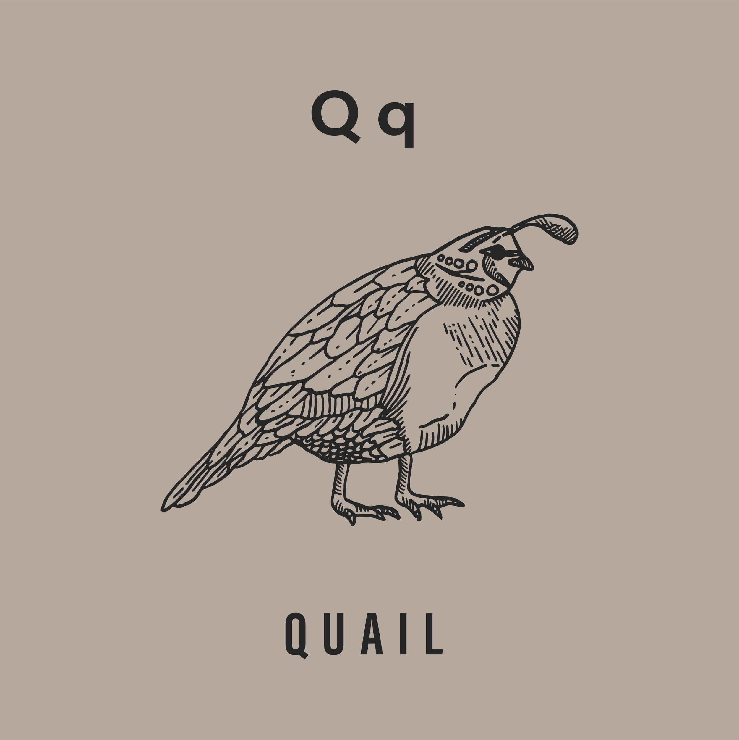 Jack's Animals 2 Color-17.png