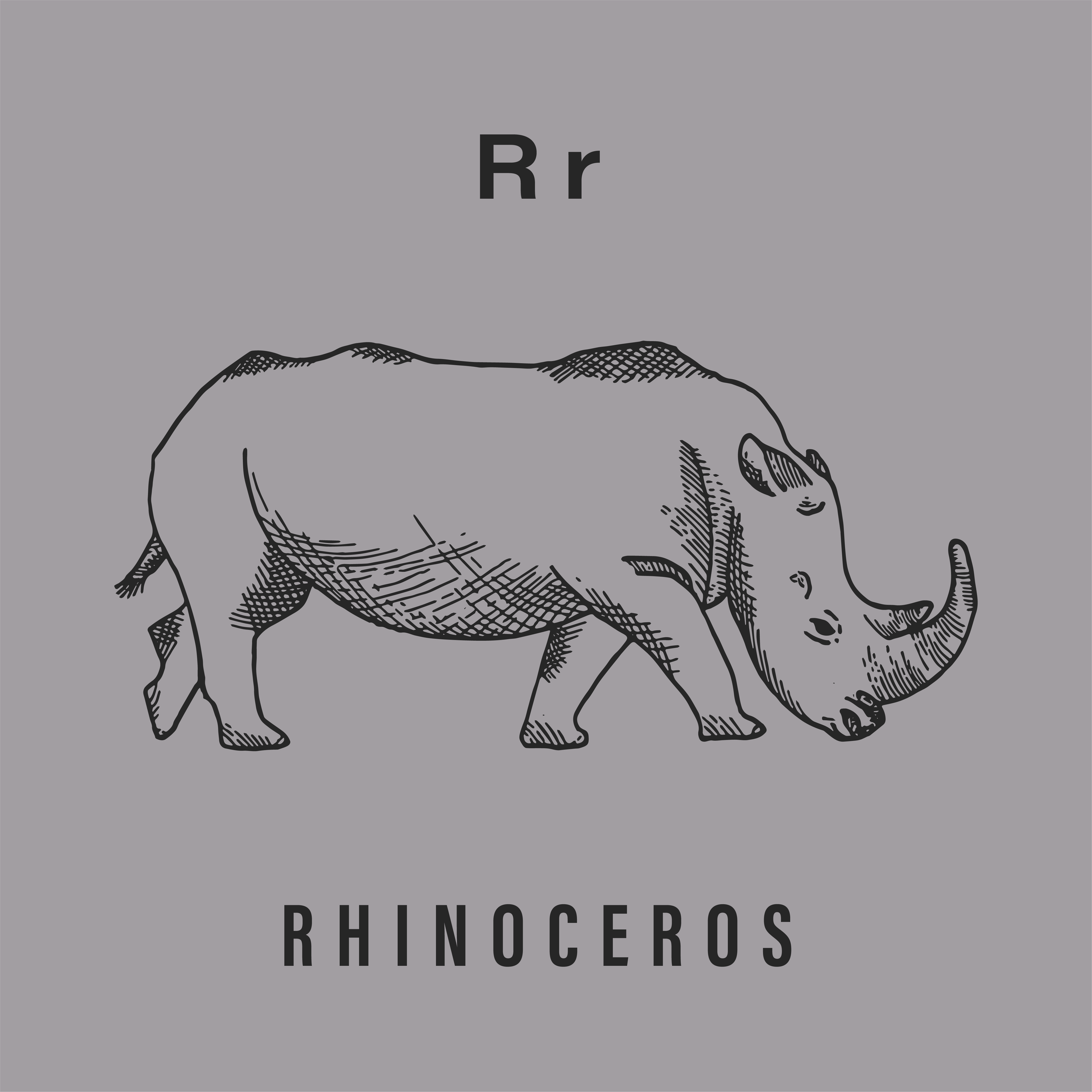 Jack's Animals 2 Color-18.png