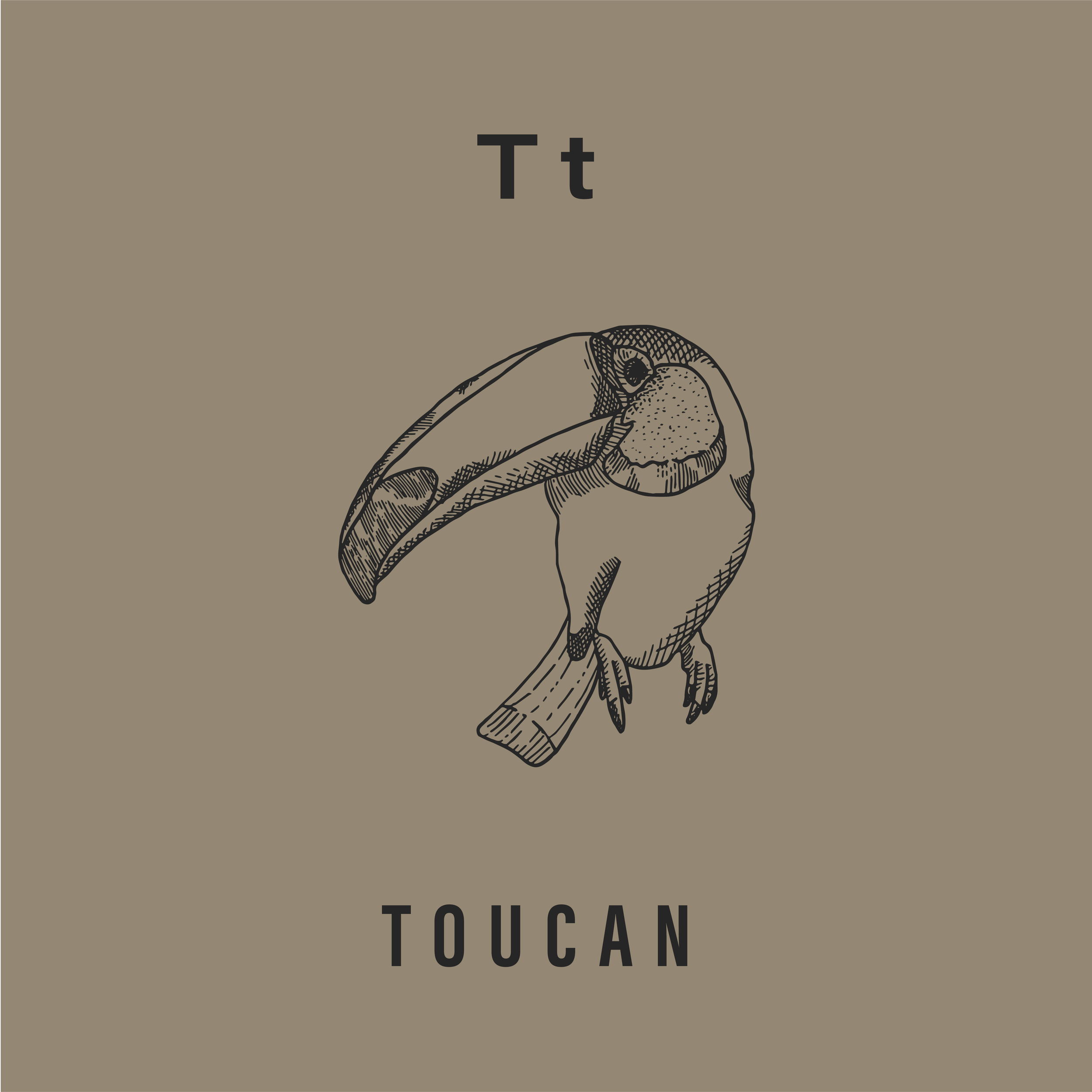 Jack's Animals 2 Color-20.png