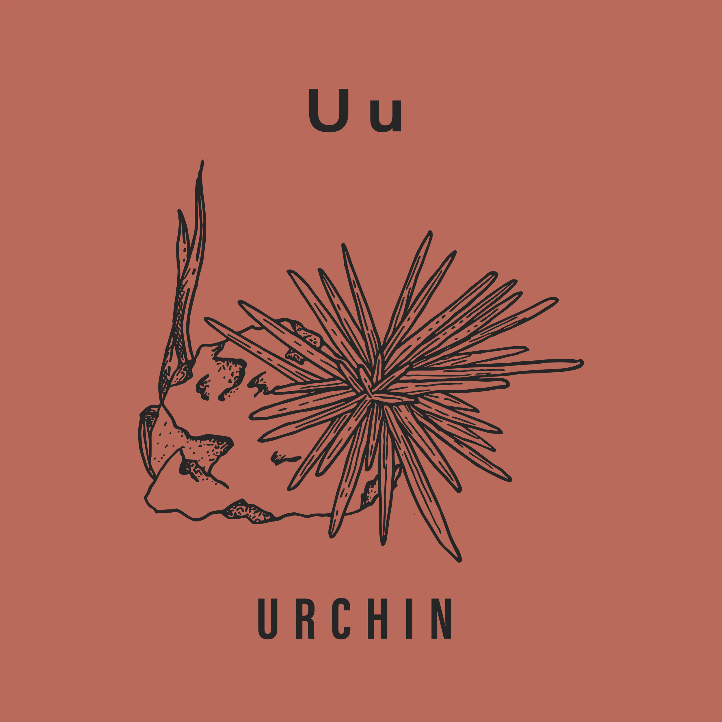 Jack's Animals 2 Color-21.png