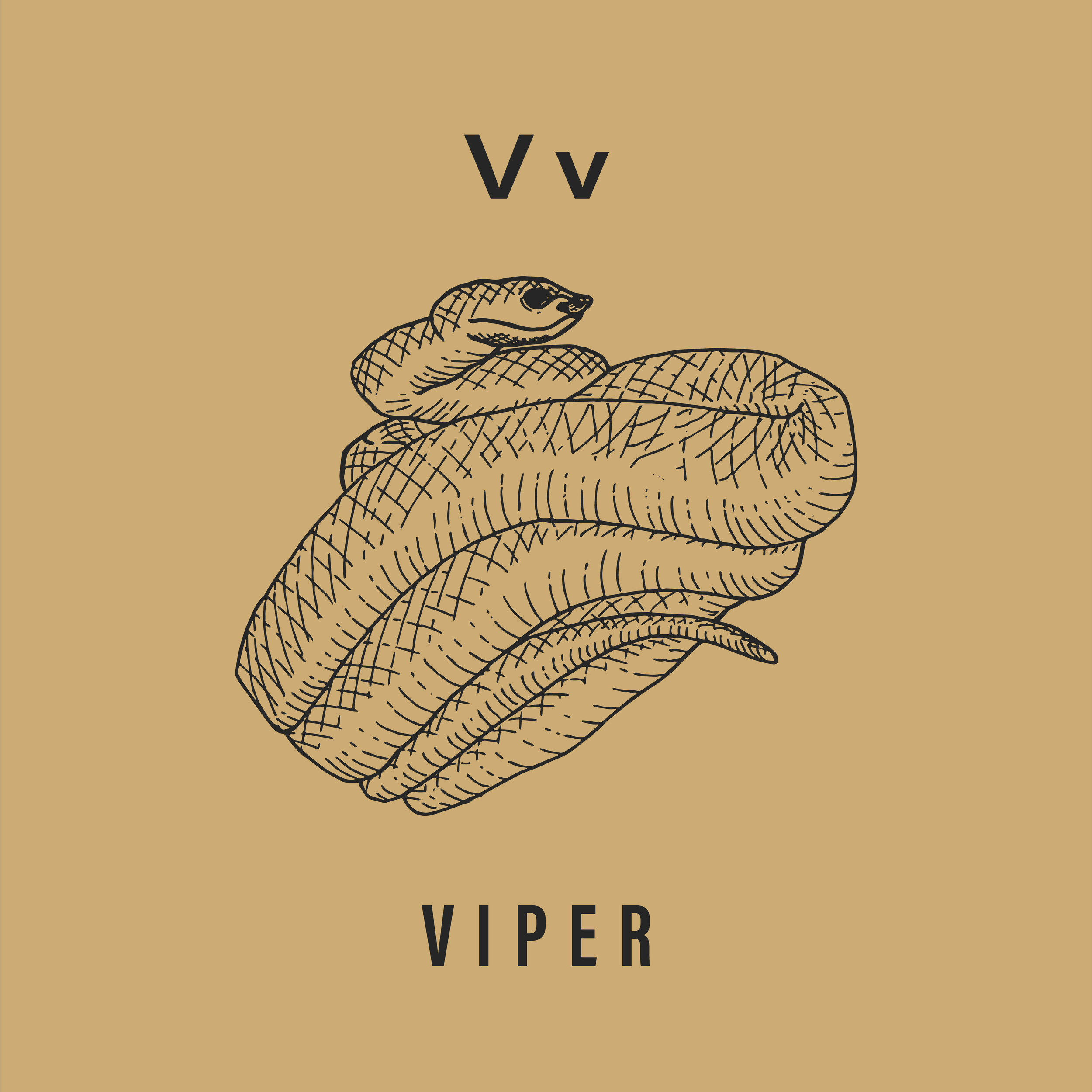 Jack's Animals 2 Color-22.png