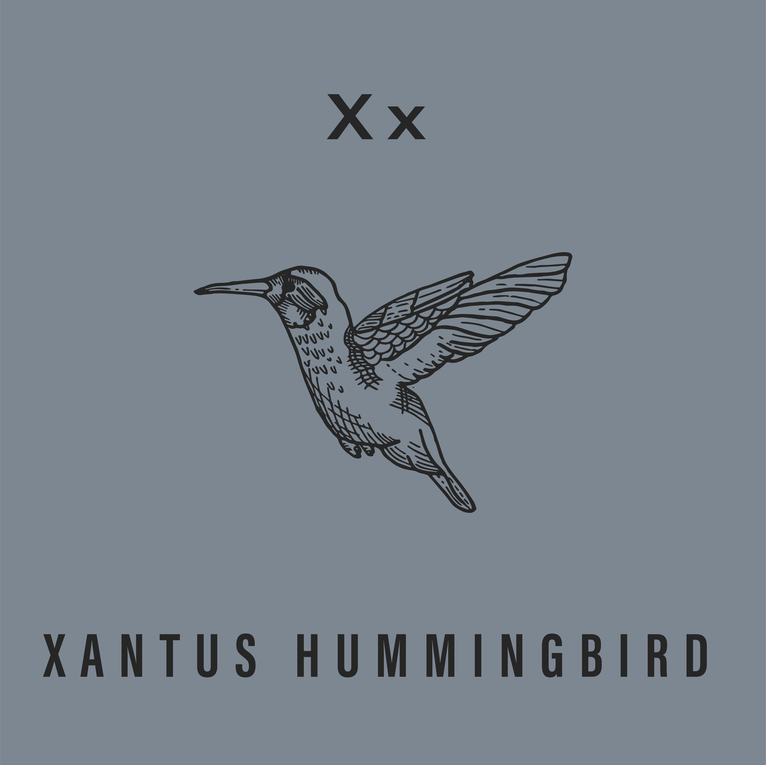 Jack's Animals 2 Color-24.png