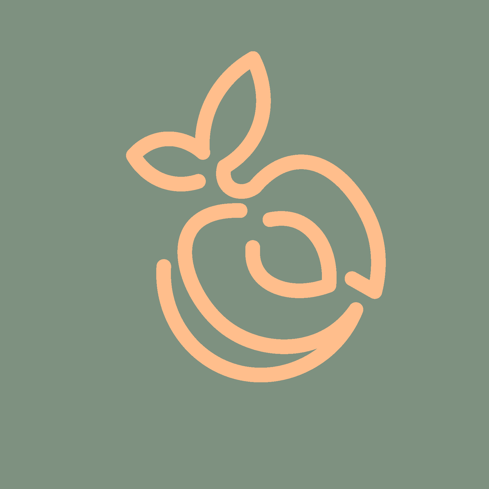 Room Illustrations Process Set Color Play-32.png