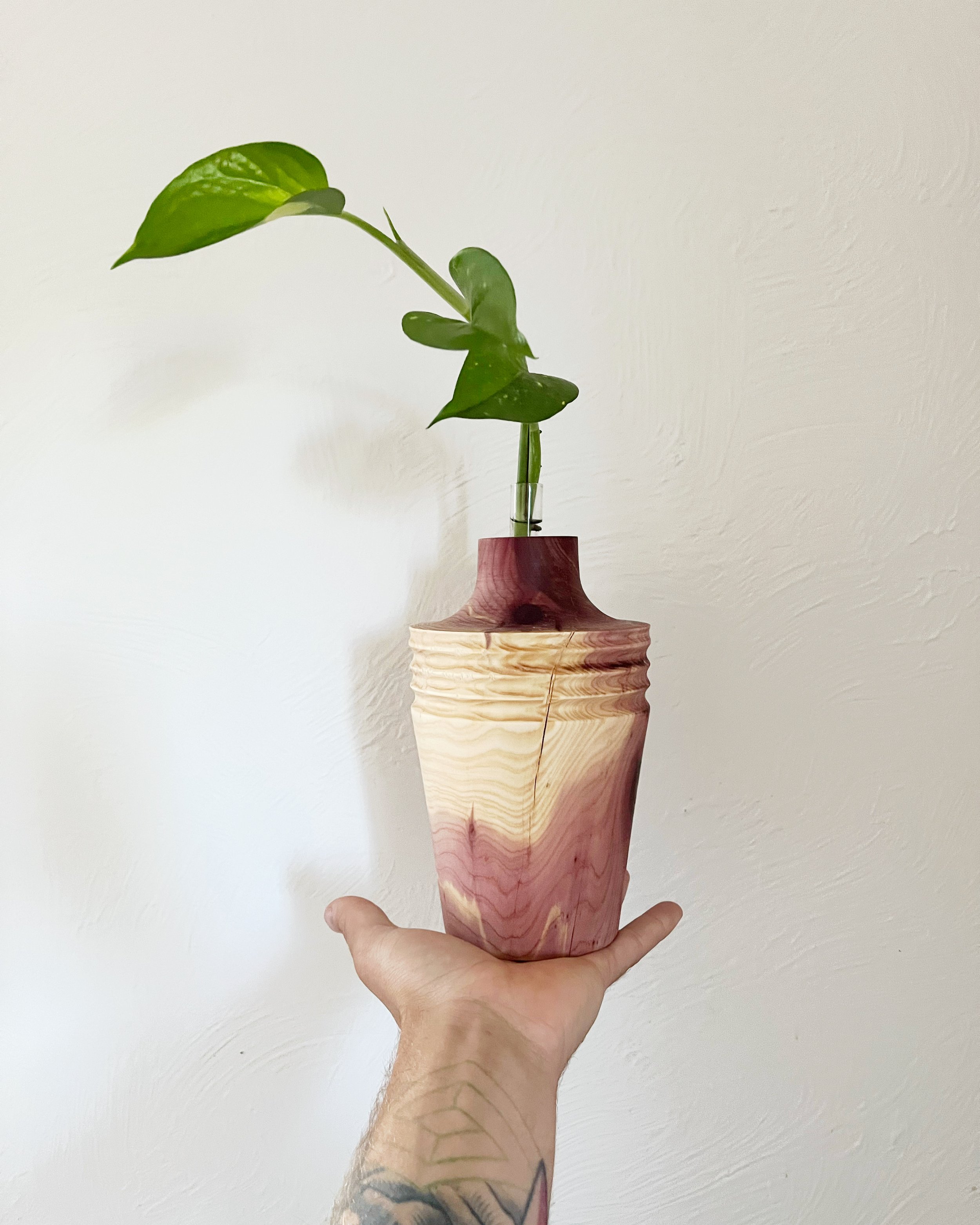 8BB97B92-C298-412E-A3E3-5B3D7F019F36.JPG