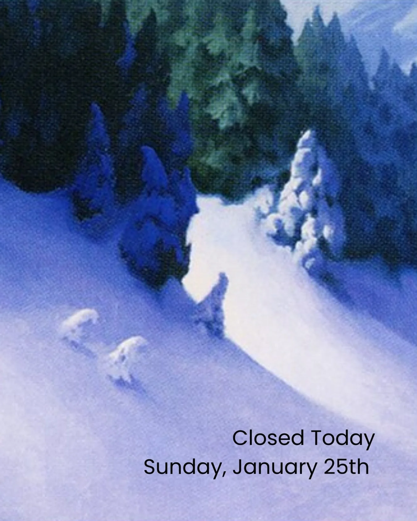 Snow-Covered Queens 🌨️
&bull;
&bull;
&bull;
Means we&rsquo;ll be closed for today!  Stay inside, finish that puzzle or start a new one.  Pick up that board game you got for Christmas or bought but never learned.  Build that DnD character you&rsquo;v