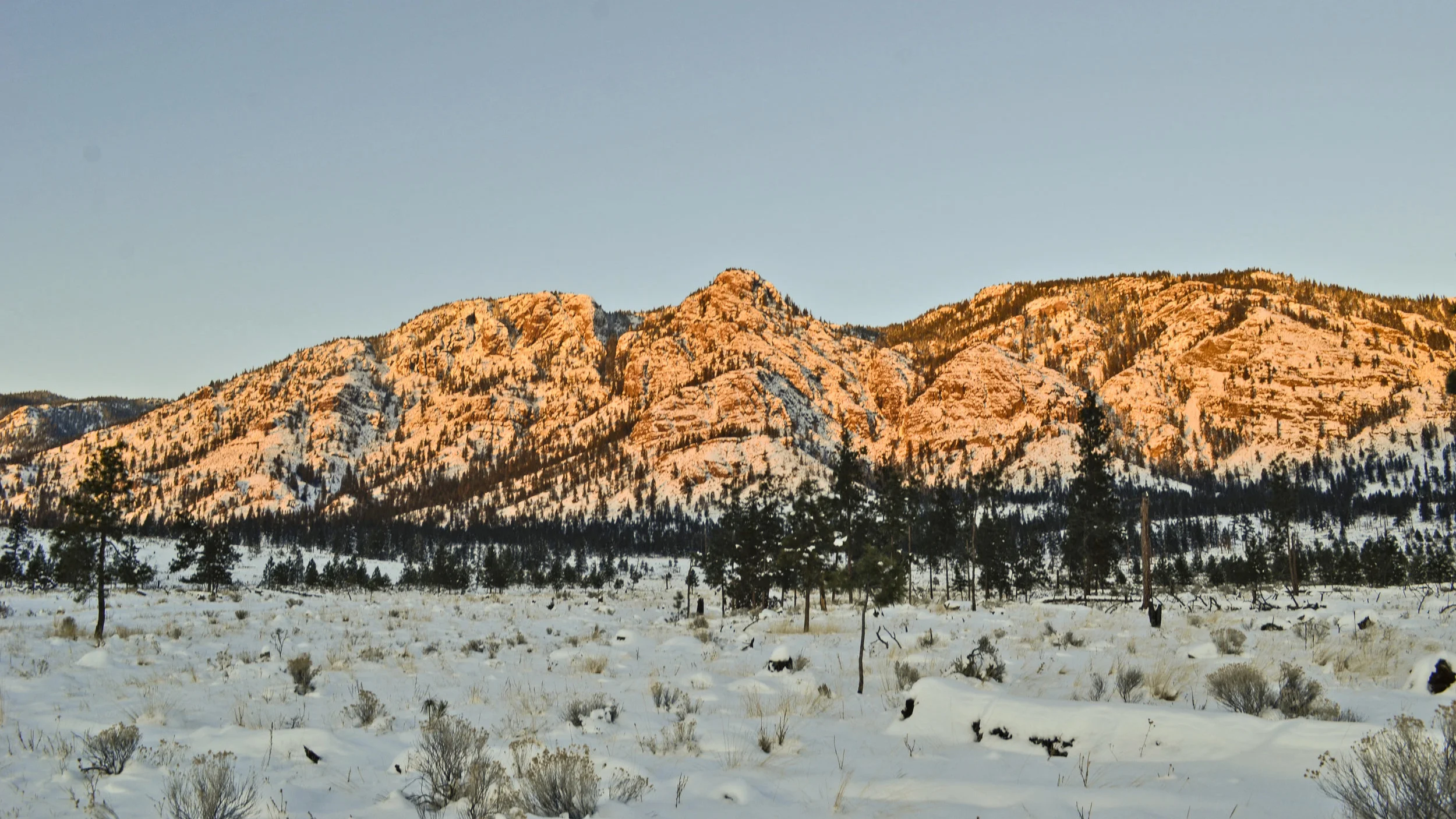 _DSC9936.jpg