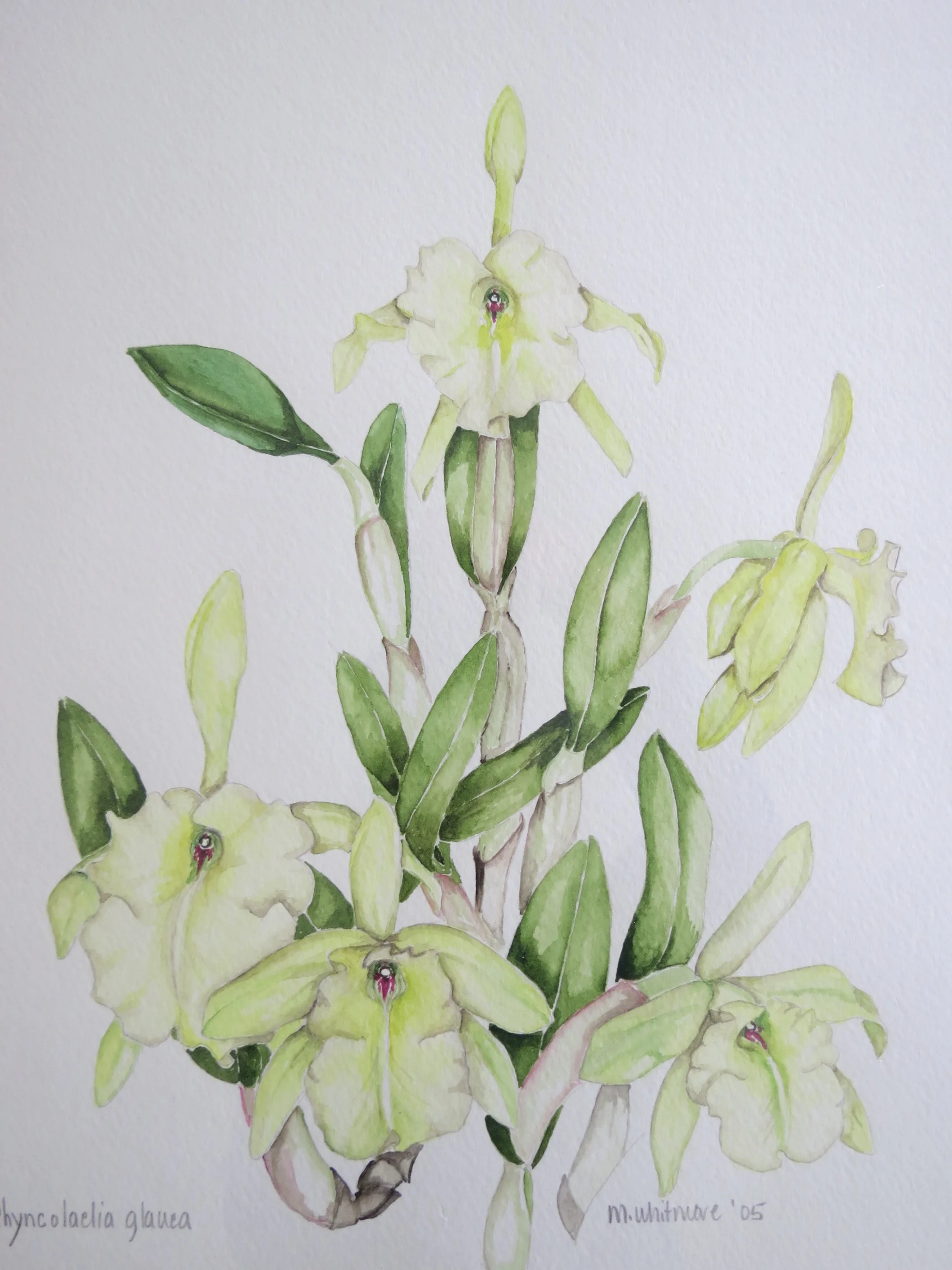 Carol Woodin workshop 004.JPG