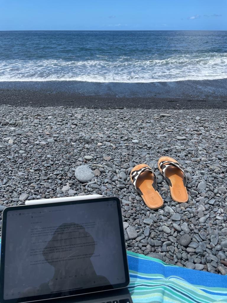 The Highs and The Lows of Being a Digital Nomad
