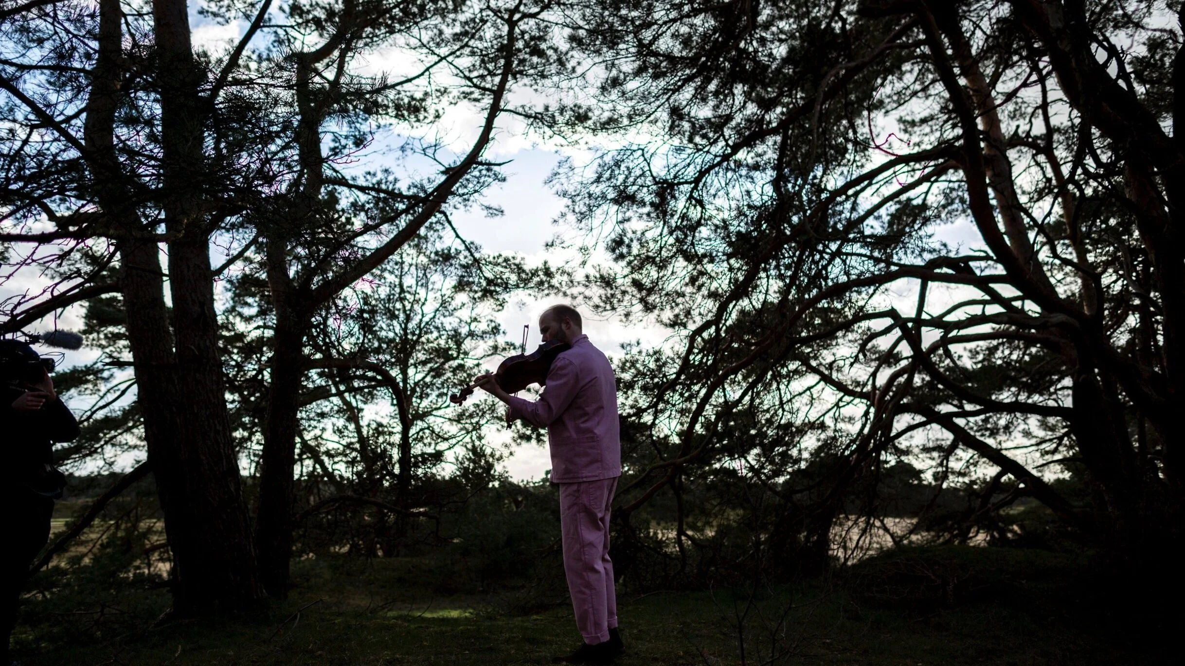 LW_Veluwe3Violas_10.jpg
