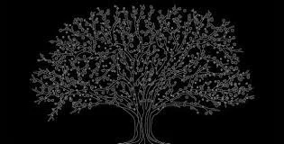 Hessel Moeselaar - Together with Talking Trees