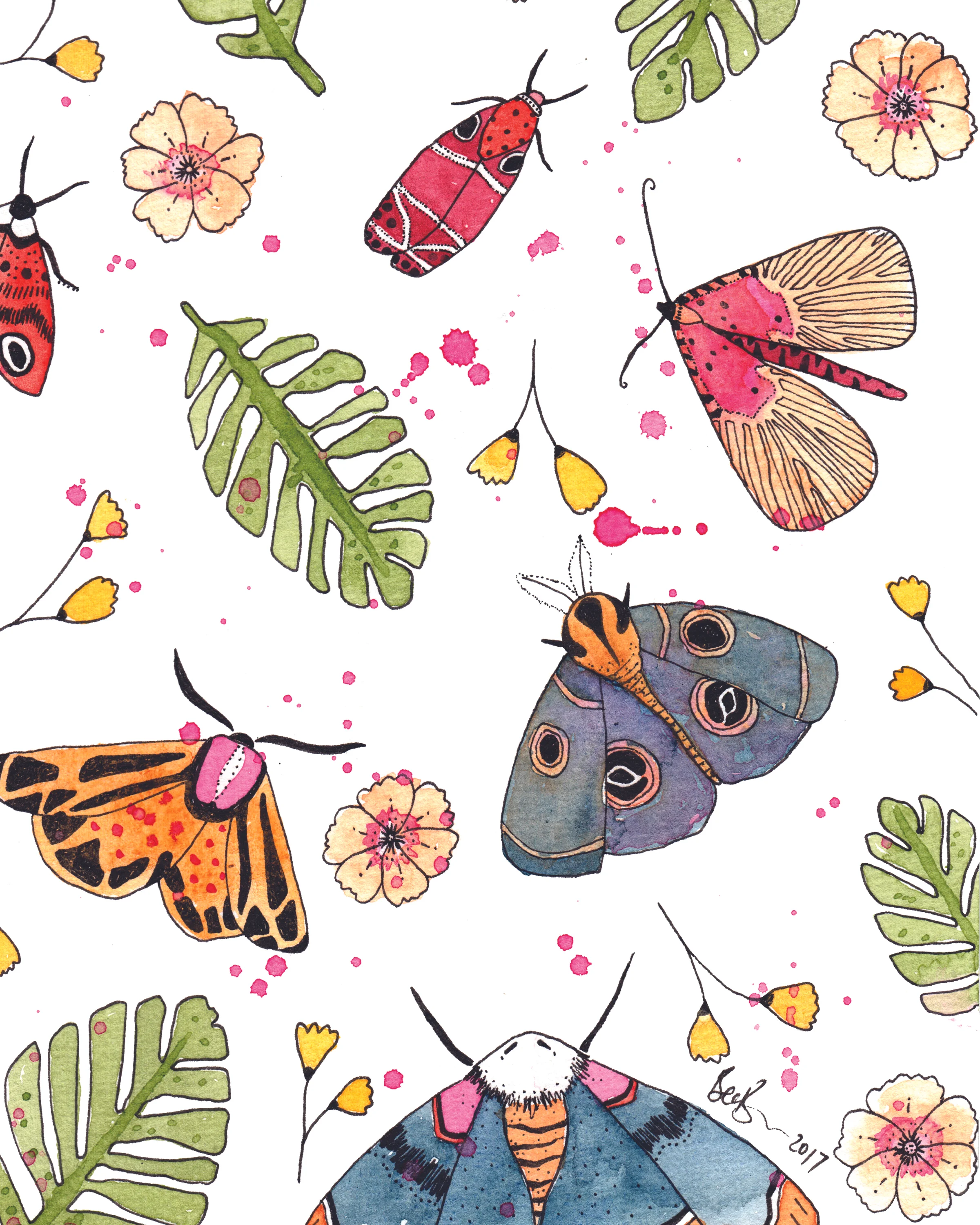 Moths.jpg