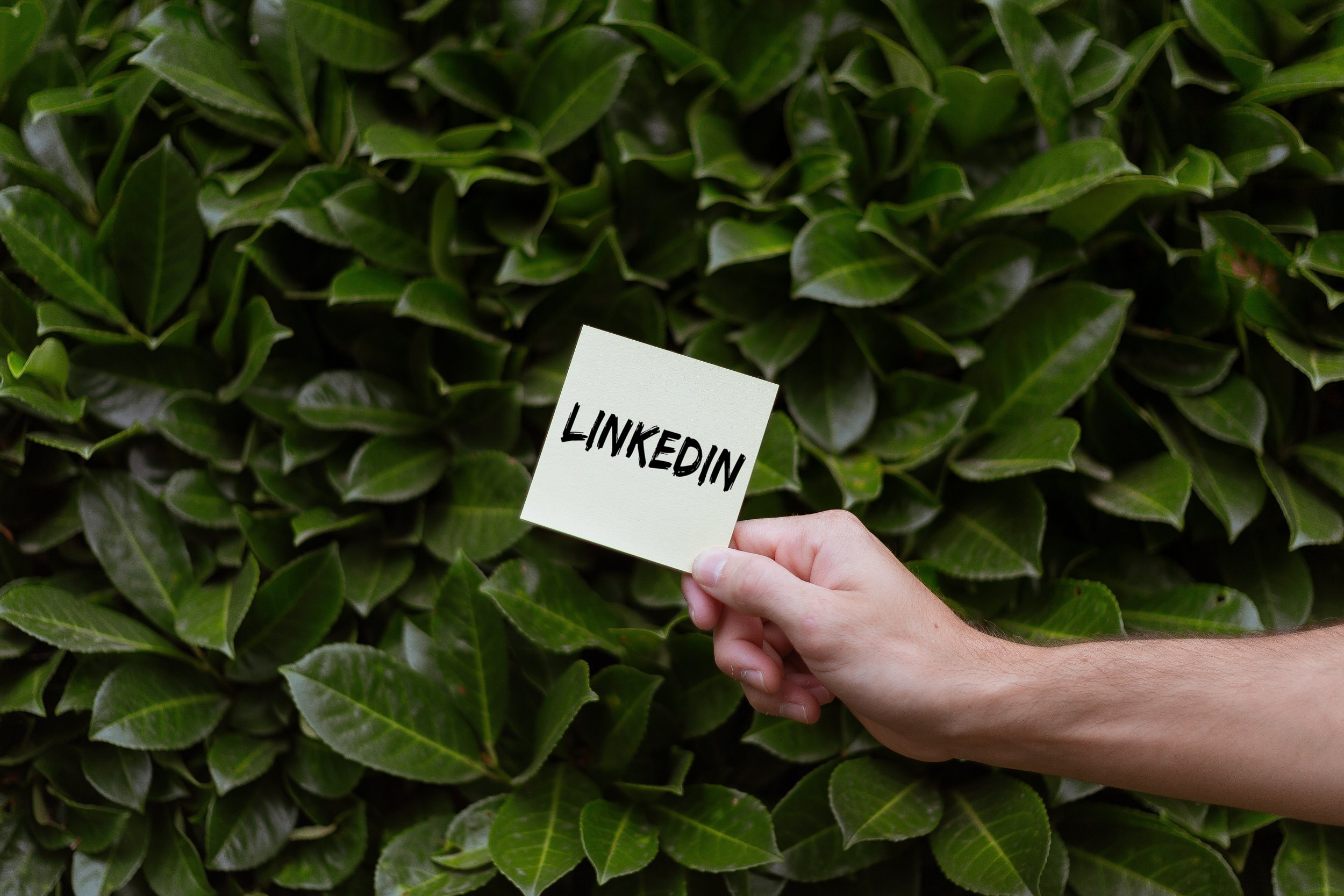 4 Best Practices in Using LinkedIn For Boosting Businesses