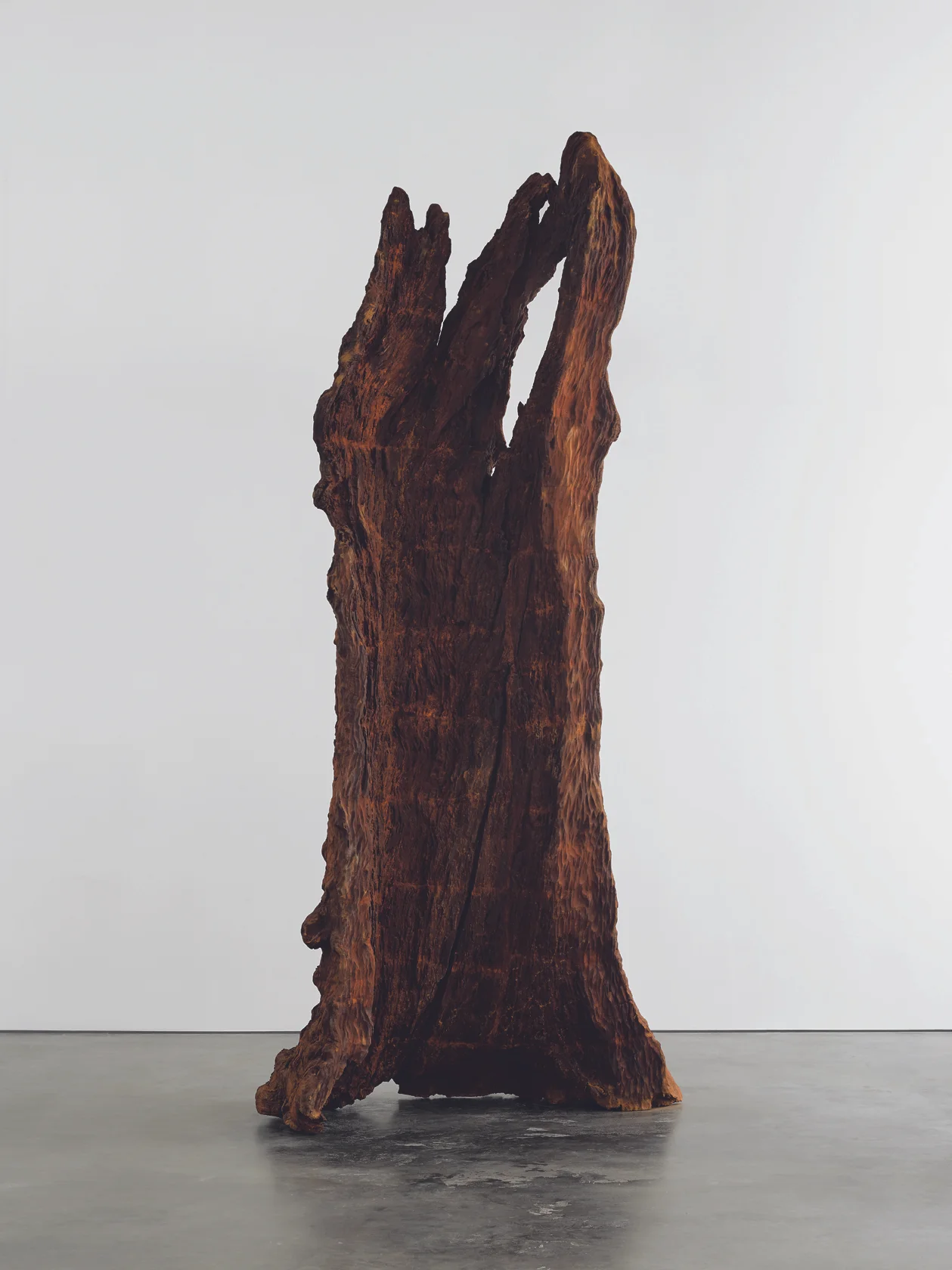 Ai Wei Wei - Iron Tree 2.jpg