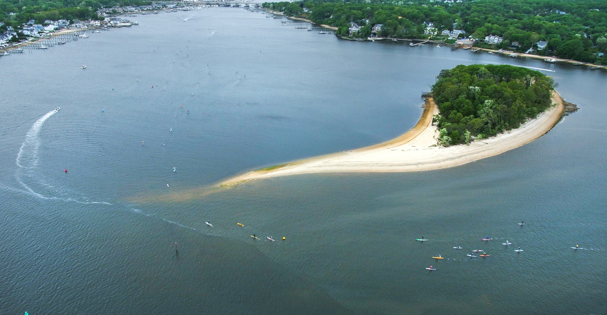 Treasure Island, Osprey Perspectives