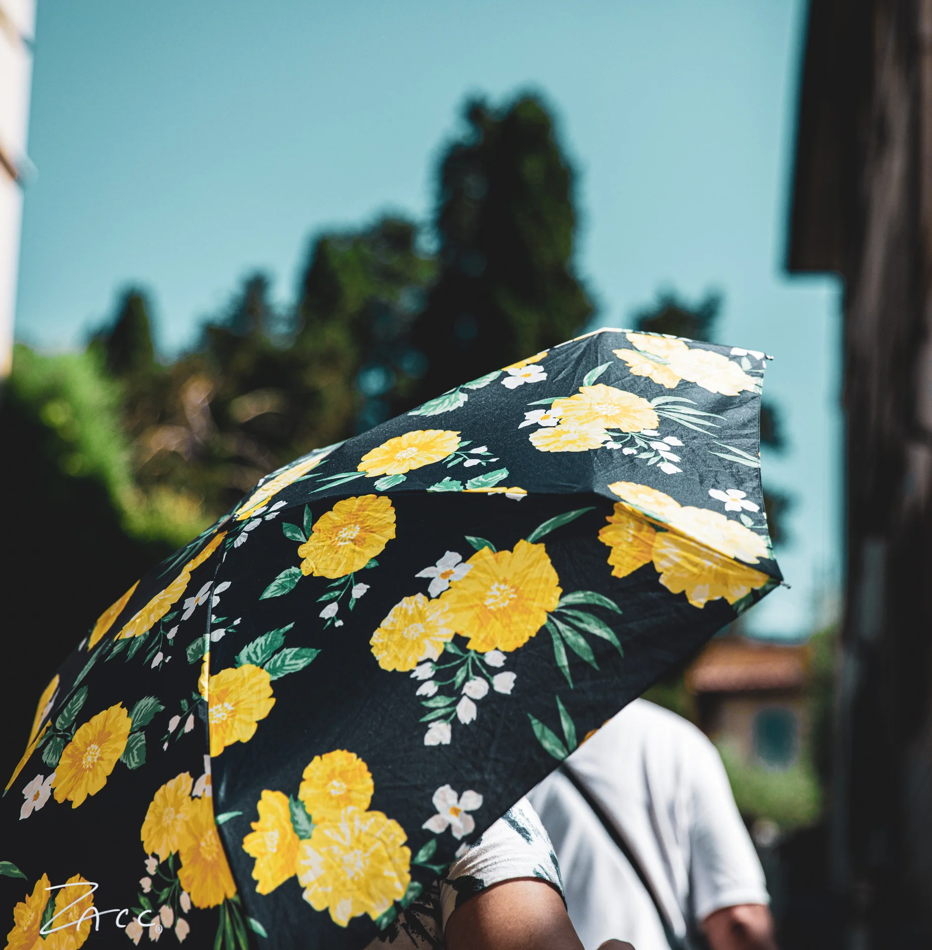 Florence-42.jpg