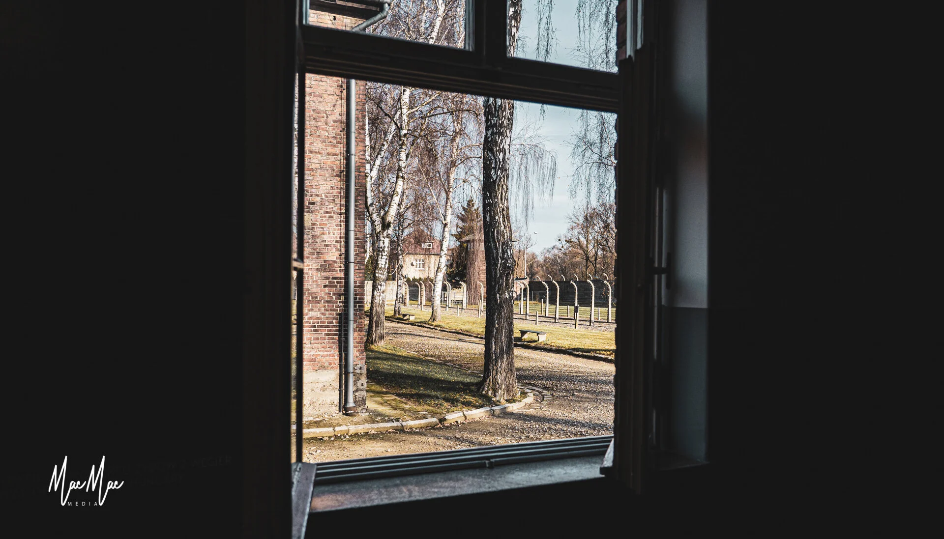 20191125 Krakow (18 of 93).jpg