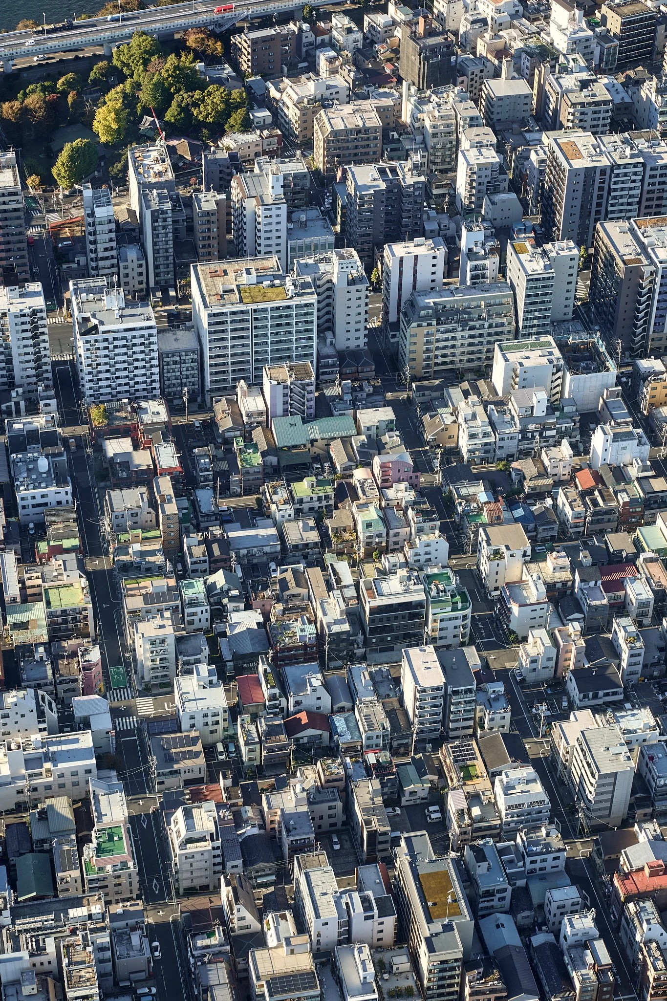 website crop--JPEG sRGB--Japan 2023__AL6A0204.jpg