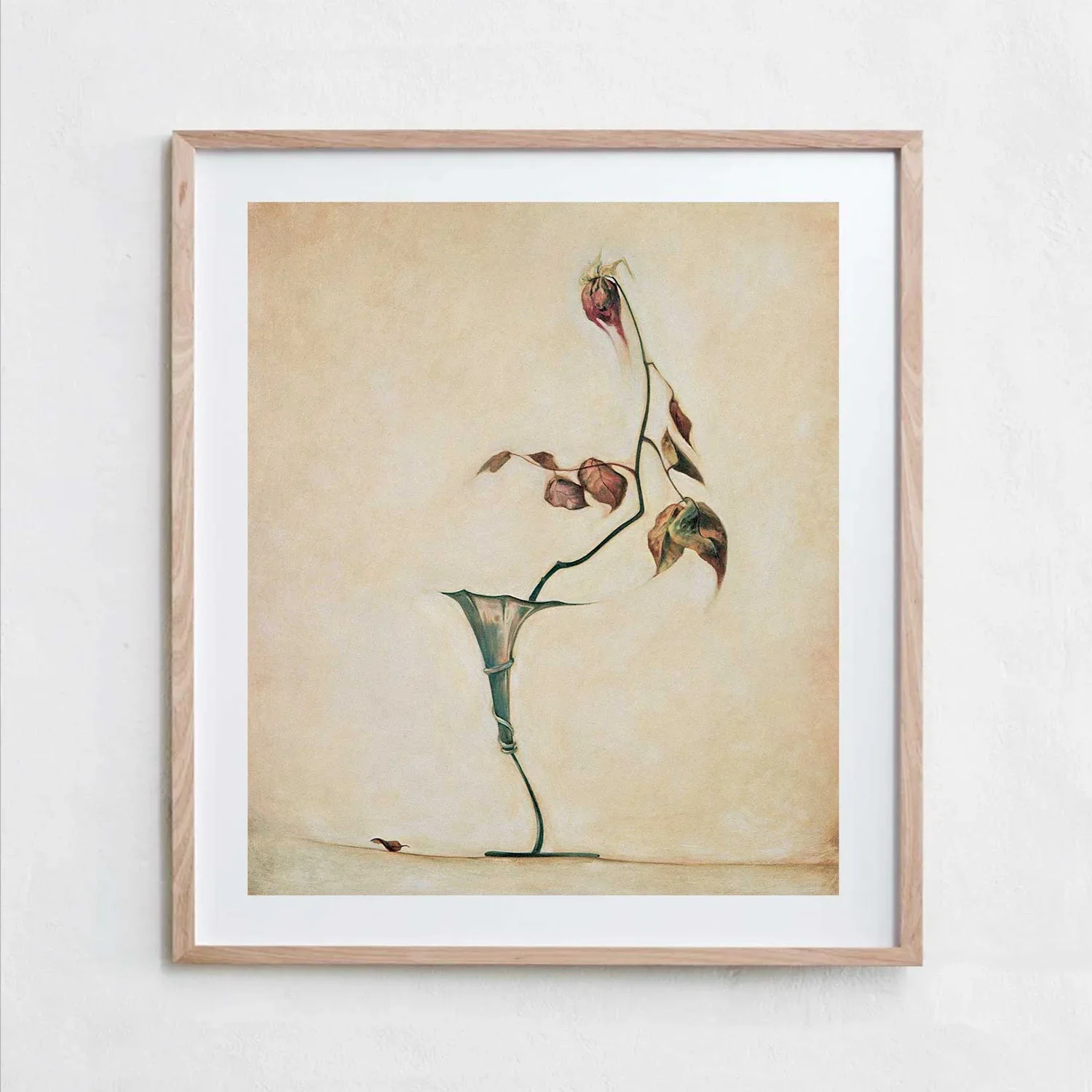 STILL LIFE