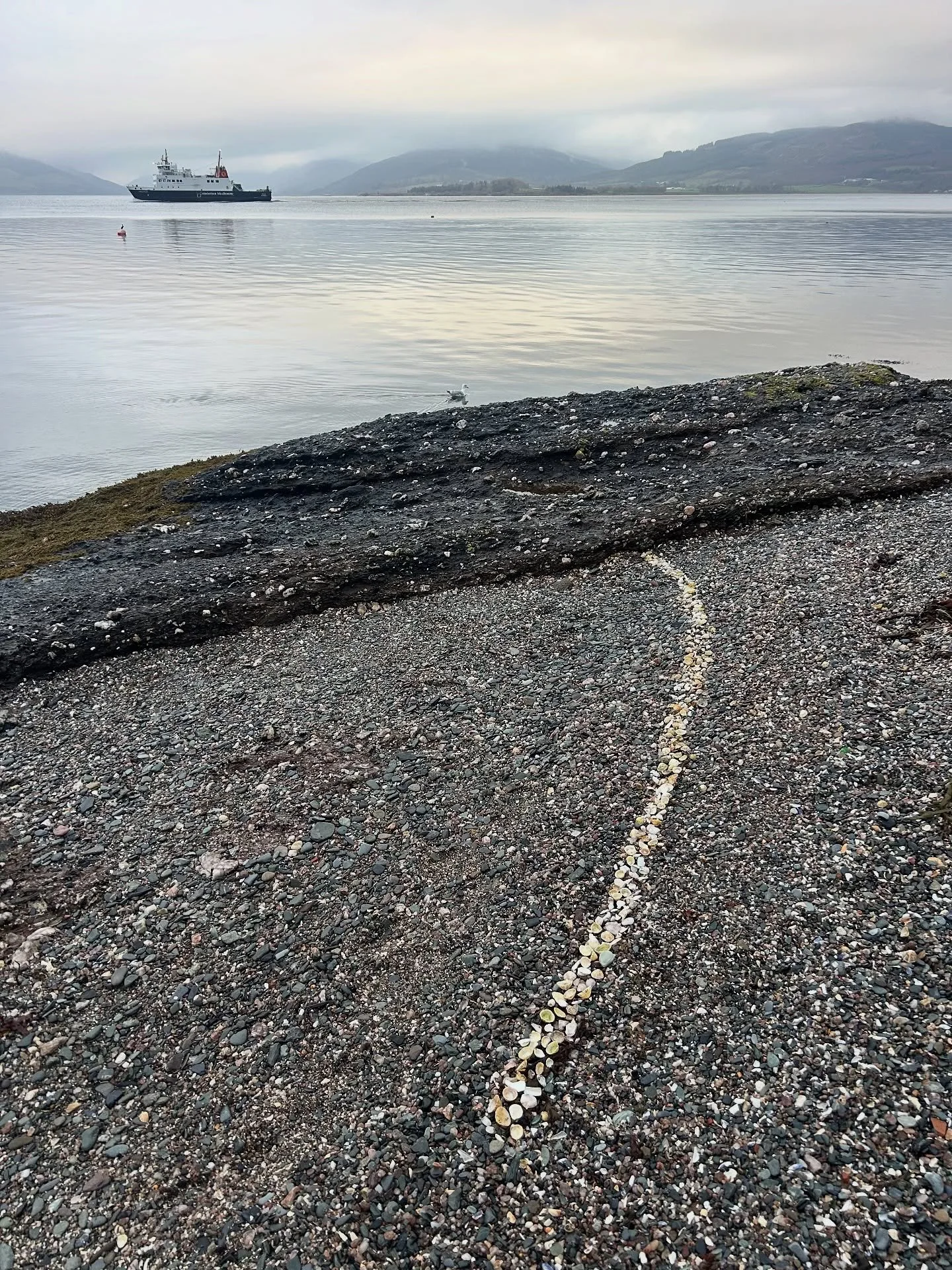 In collaboration with the tide 🤍

~ I went out to post a parcel. The afternoon was still, tide on the ebb, light diffused through shifting clouds. I took a walk on the shore, eyes down as always assessing the colour and shape of each rock and shell.
