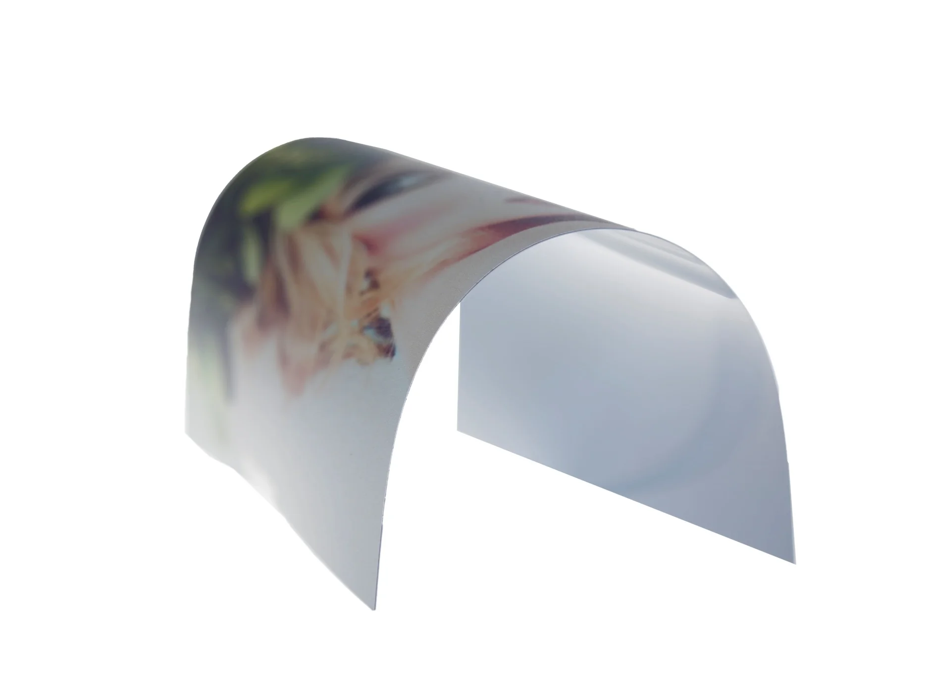 Roll+up+Curve.jpg
