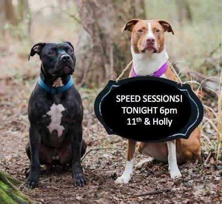 Tuesday Feb 6 - Speed Work is Back!