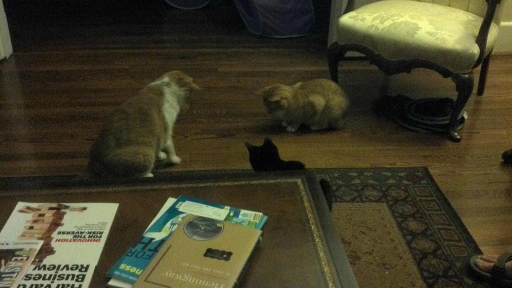 Woodford, Buffy and Jessica