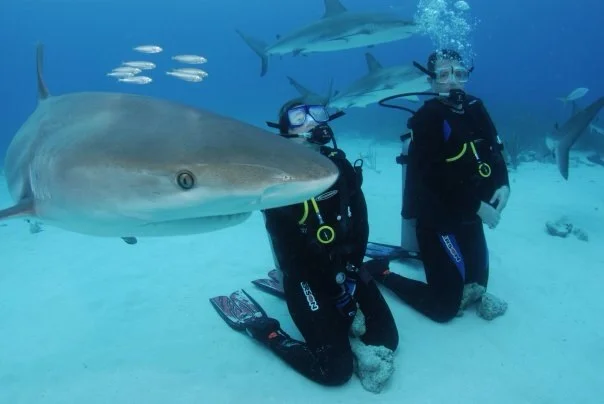 Beth and her friend Jaws