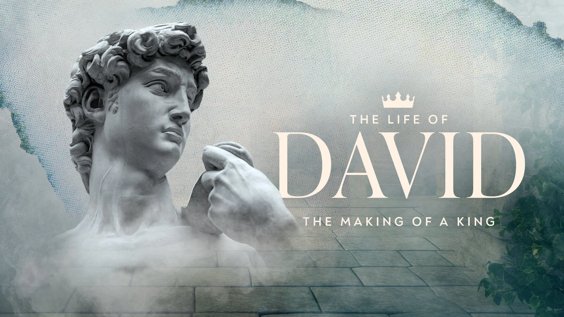 The Life of David Screen 1920x1080.JPEG