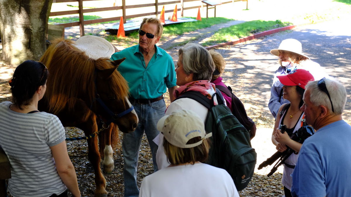 Visitors at Pt Reyes MHR.jpg