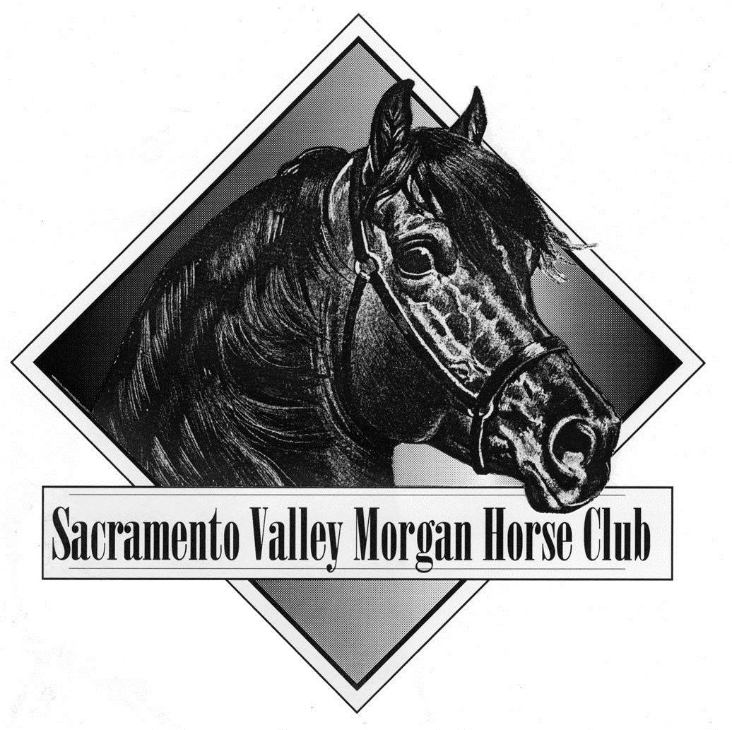 Board of Directors Meeting