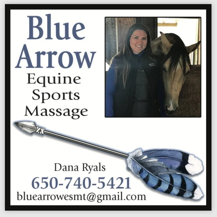 Blue+Arrow.jpg