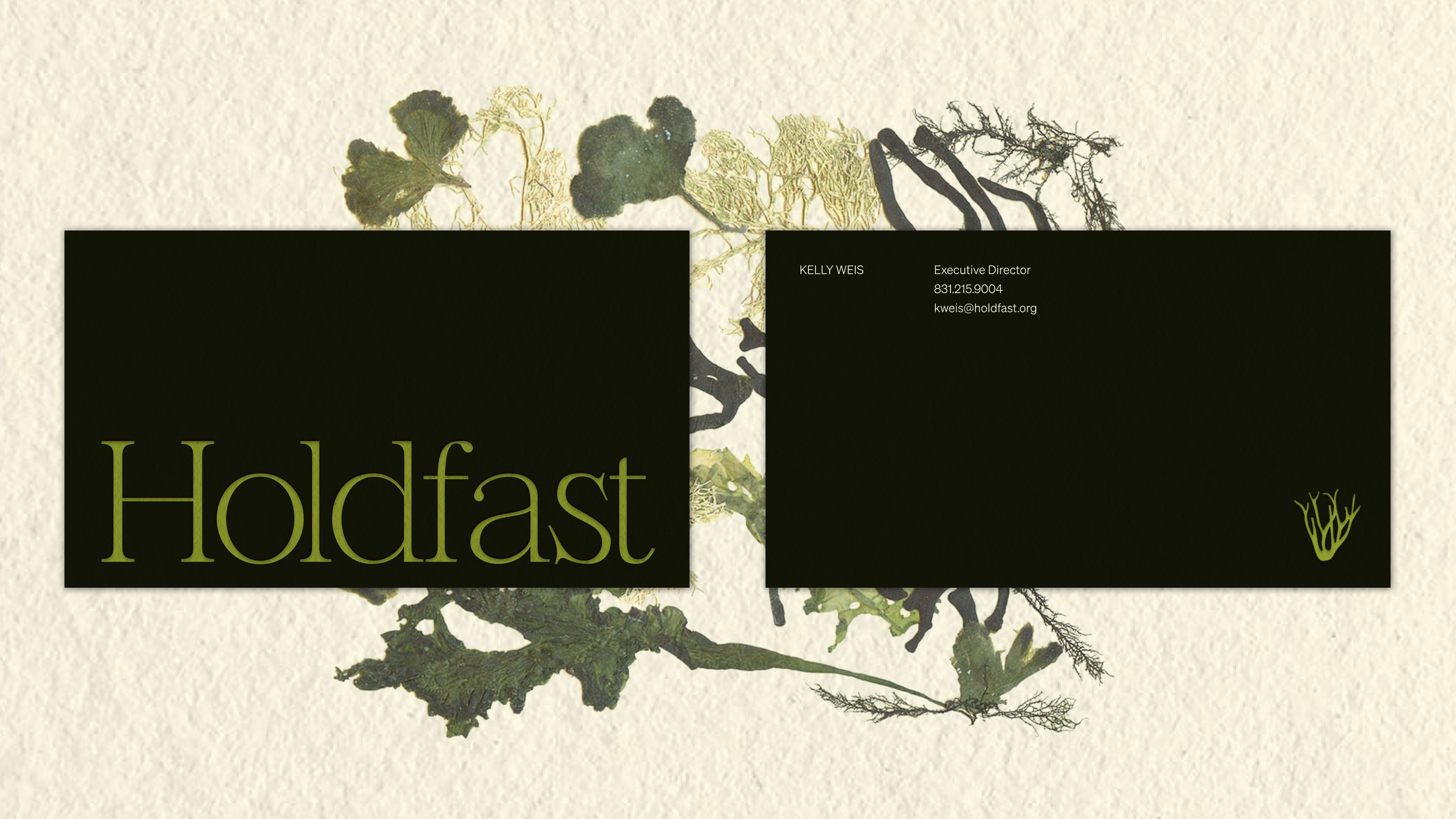 Business Card Mockup.png