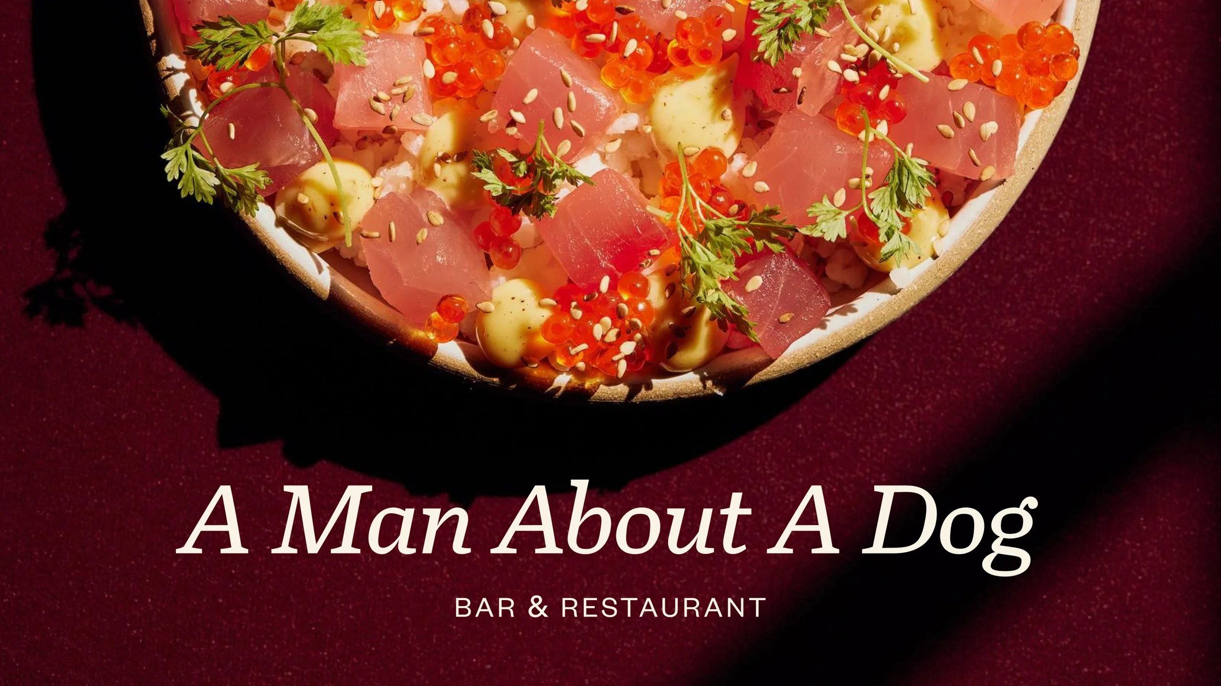 A Man About A Dog 2.jpg