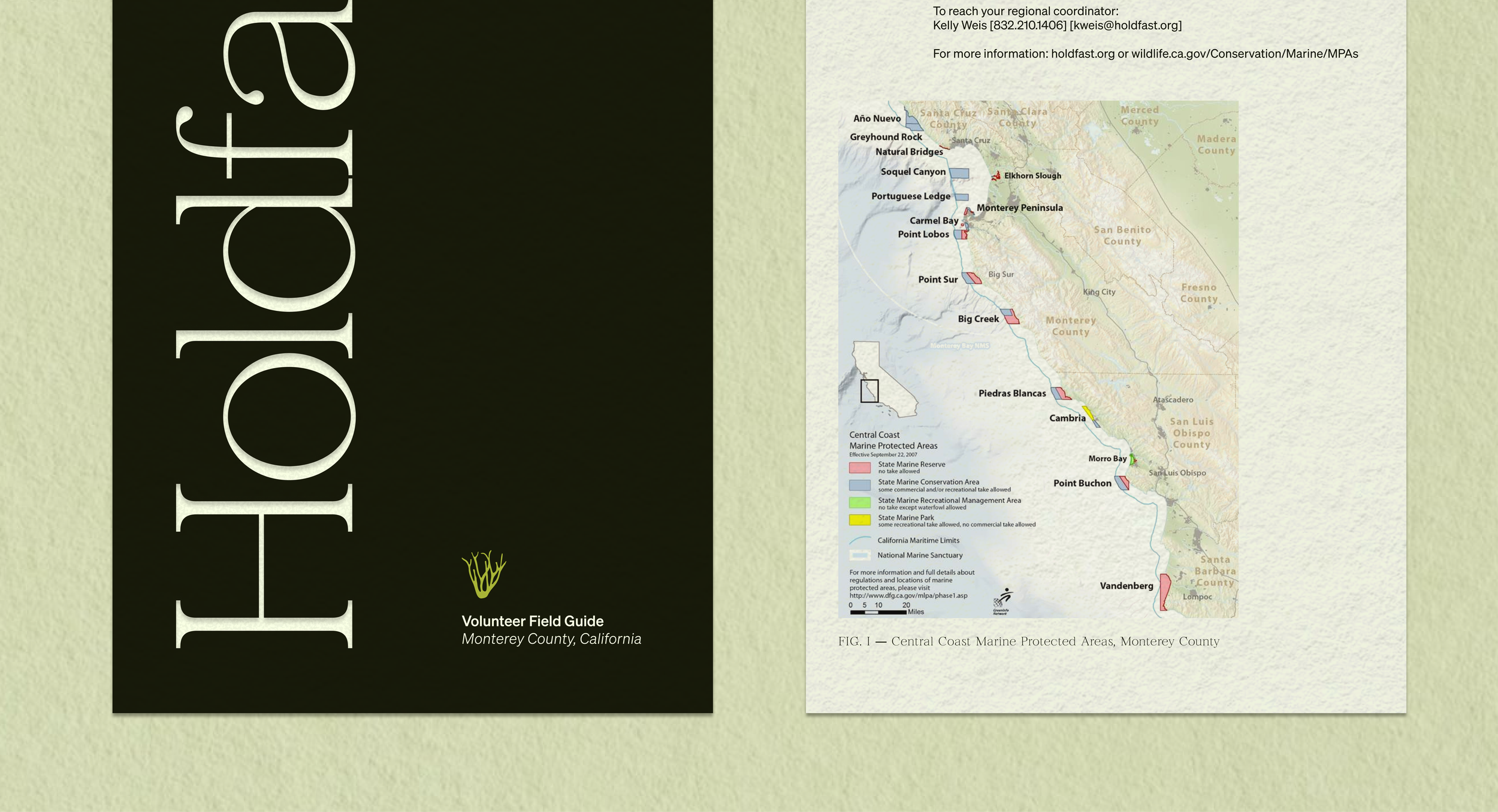 Field Guide Mockup.png