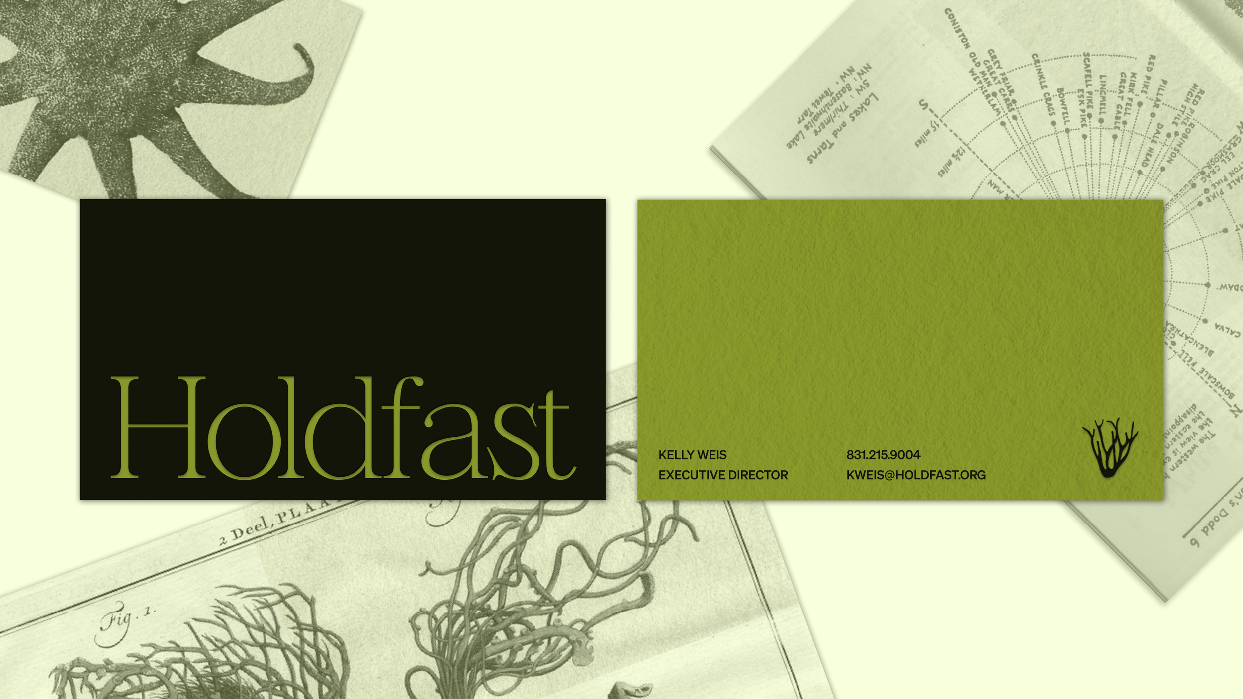Business Card Mockup.png