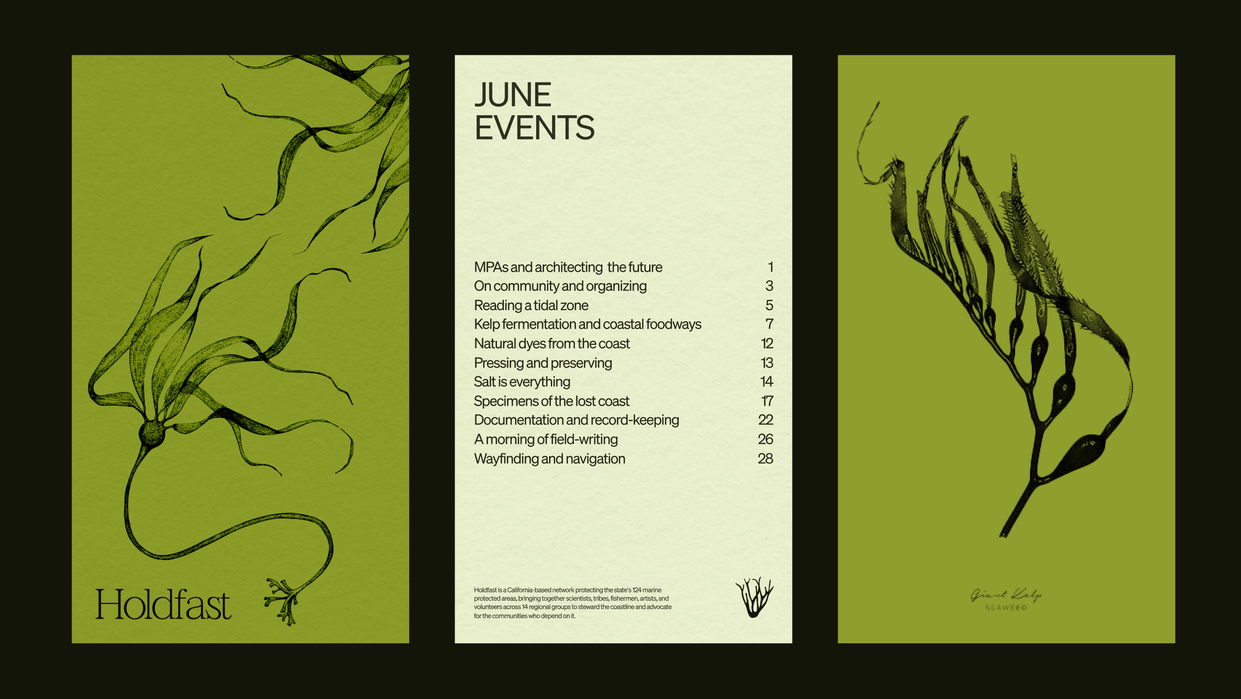 Field Guide Mockup.png