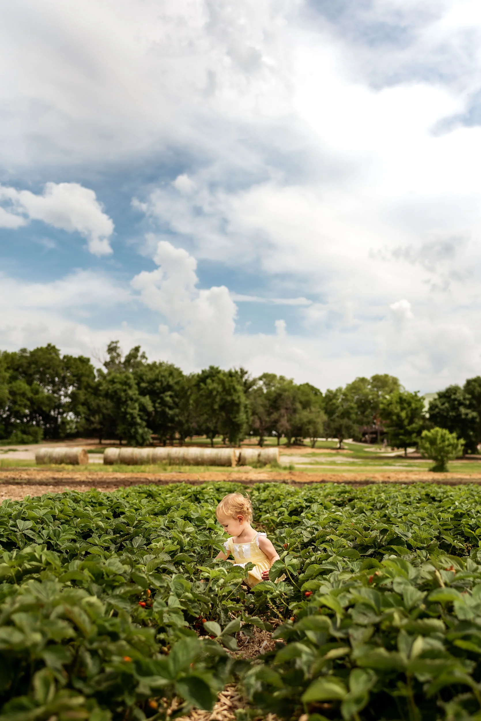 DSC_8953-Edit.jpg