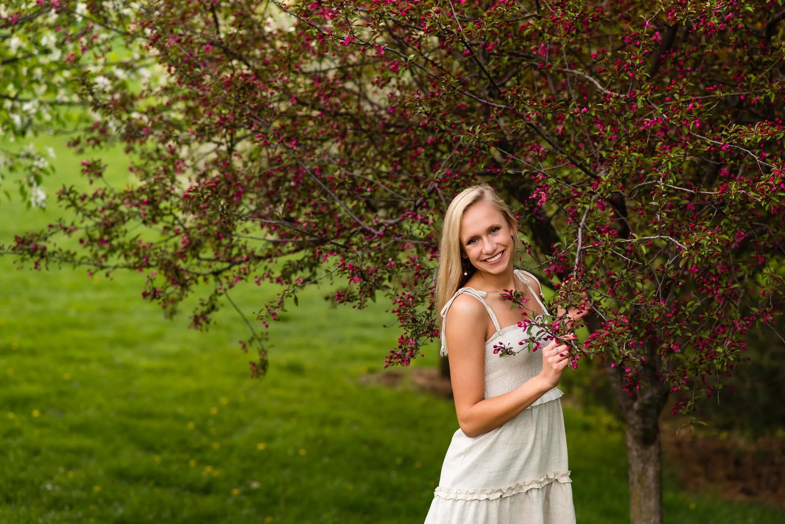 Springtime Blooms in Omaha, Nebraska