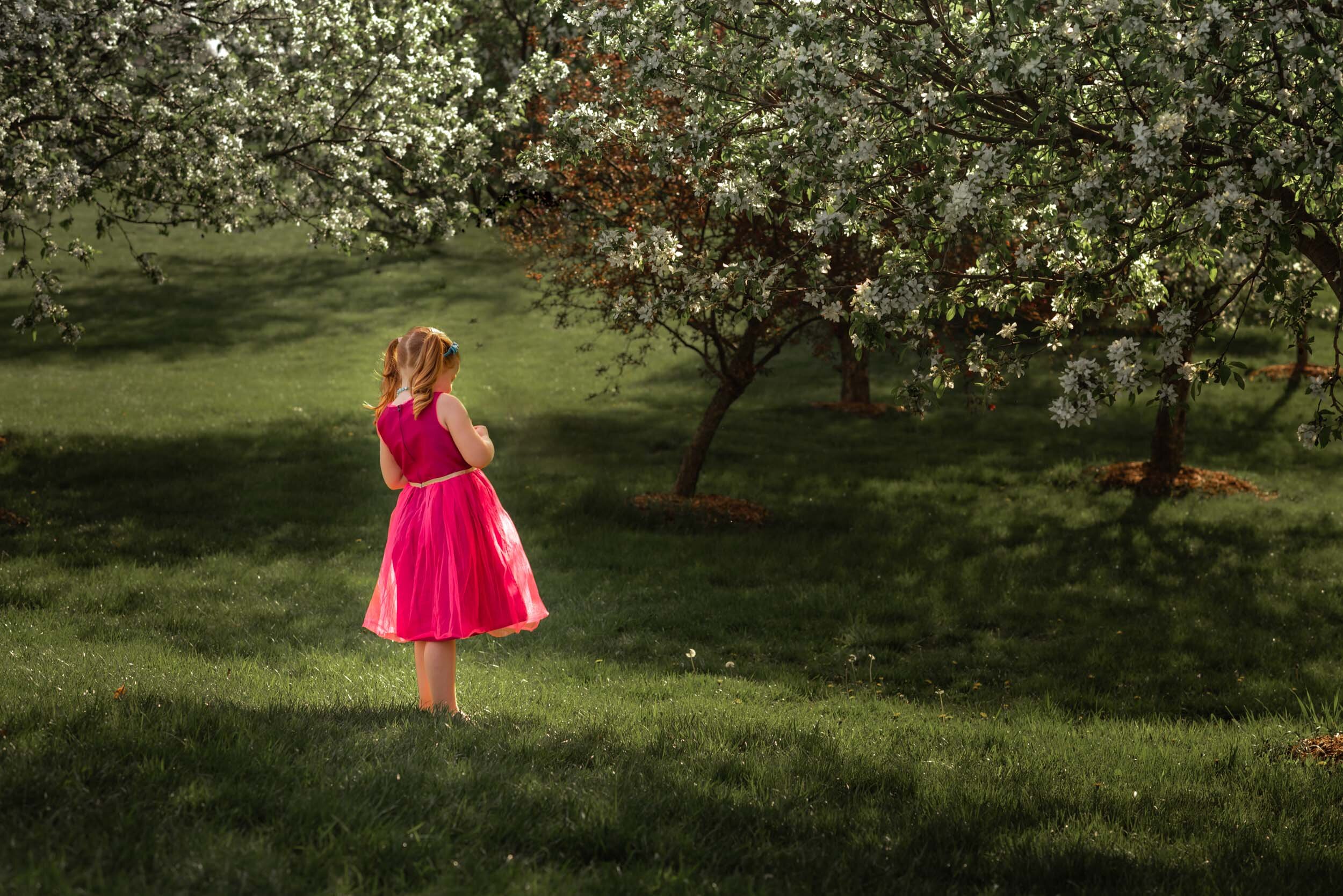 little-girl-in-pink-dress-beneath-blooming-tree.jpg