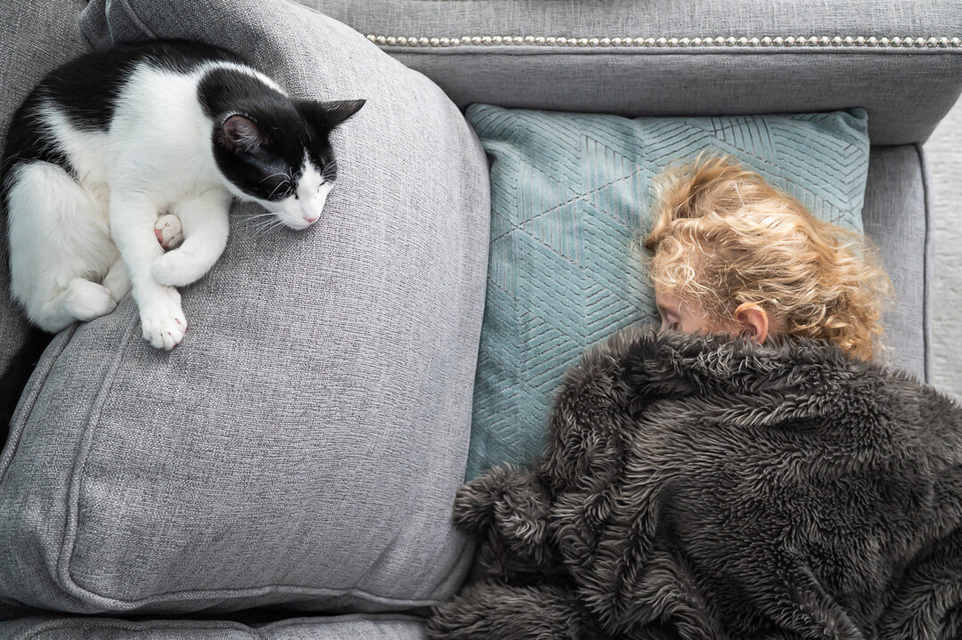Napping buddies.  It's a dreary, Monday and I want to be curled up on that couch, too.  Who's with me?! My husband claims he doesn't like or need much sleep. But I'll take all the naps.  What do you prefer? Do you love your sleep or would you rather 