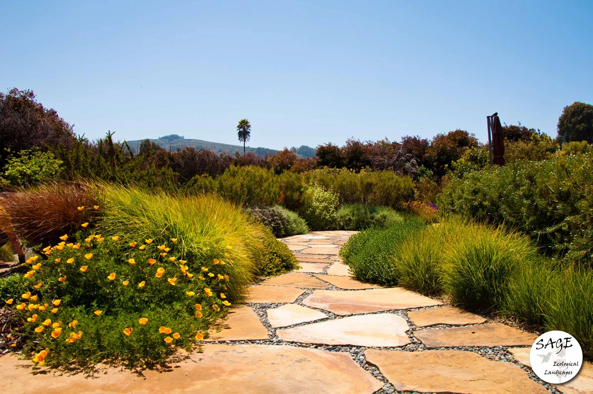 morro-bay_flagstone-pathway.jpg