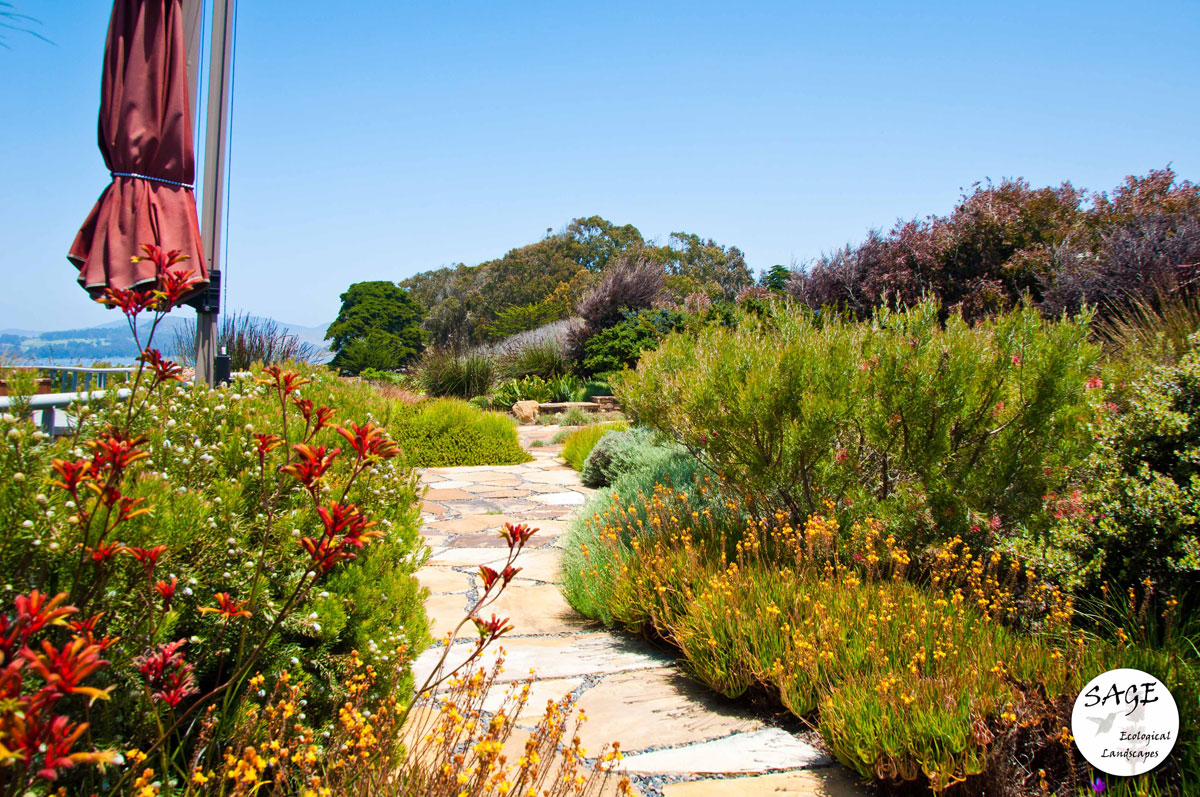 morro-bay_flagstone2-pathwa.jpg