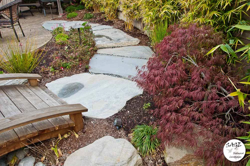 san-luis-obispo-landscaping-sage-ecological-landscapes-bush-residence-web-size-19-of-41__dsc5421.jpg