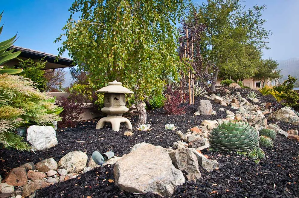 san-luis-obispo-landscaping-sage-ecological-landscapes-baker-avila-residence-web-size-5-of-73_20120731-untitled-shoot-untitled-6108.jpg