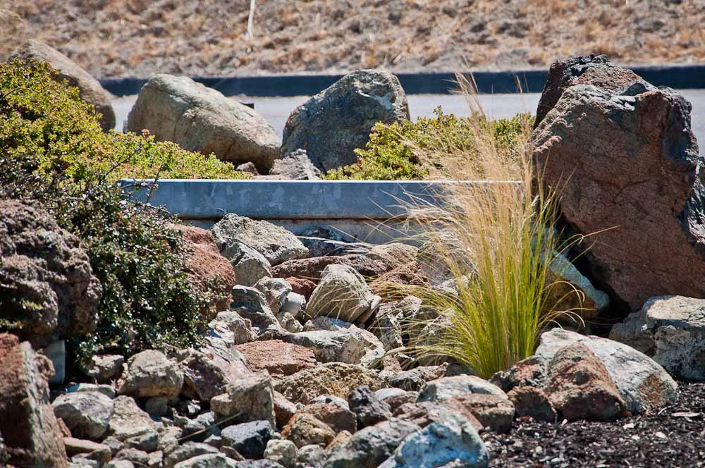 san-luis-obispo-landscaping-sage-ecological-landscapes-baker-avila-residence-web-size-47-of-73_20120731-untitled-shoot-untitled-6236.jpg