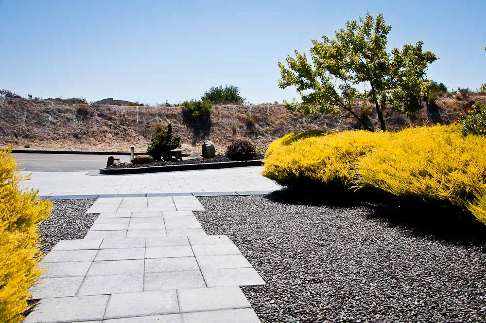 san-luis-obispo-landscaping-sage-ecological-landscapes-baker-avila-residence-web-size-49-of-73_20120731-untitled-shoot-untitled-6242.jpg
