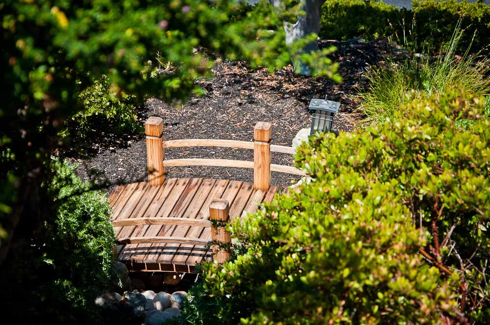 san-luis-obispo-landscaping-sage-ecological-landscapes-baker-avila-residence-web-size-51-of-73_20120731-untitled-shoot-untitled-6247.jpg